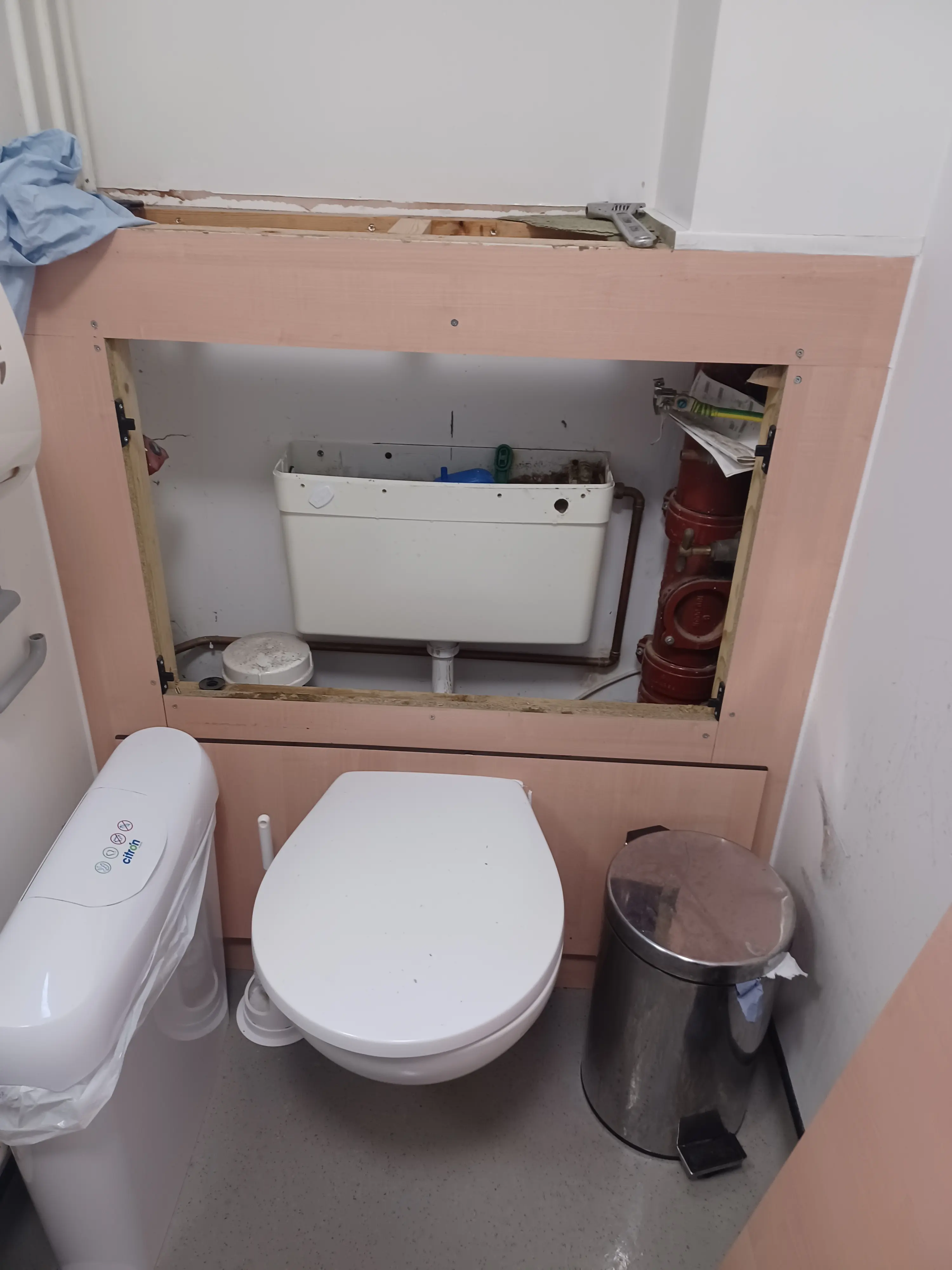 Image 5